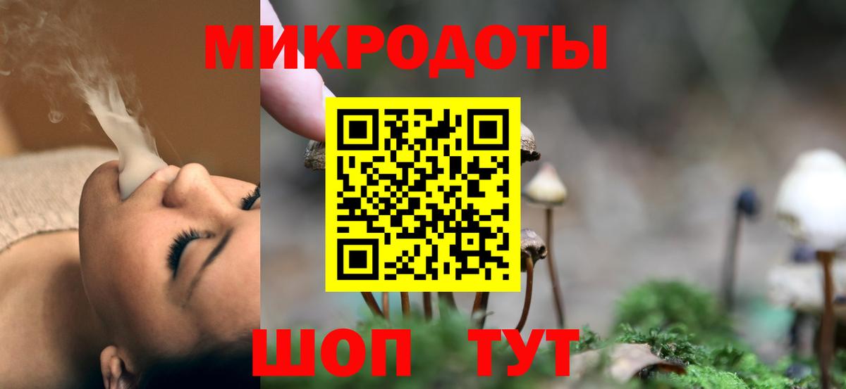 Галлюциногенные грибы Psilocybe Чистополь